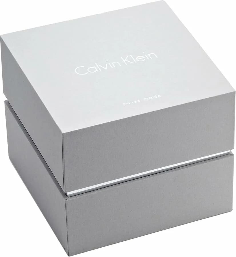 Montre Homme Calvin Klein K2G2G121 en Acier et Maille Milanaise vue 4