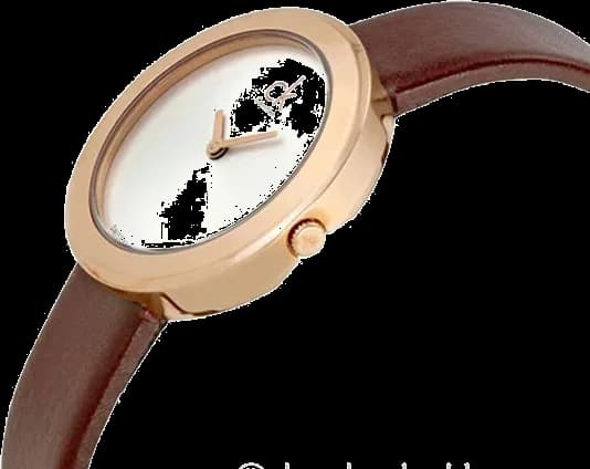 Montre Femme Calvin Klein K3N236G6 Bracelet Cuir Marron vue 2