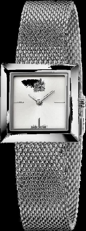 Montre Calvin Klein K3R23126 en Acier Argenté et Bracelet Maille
