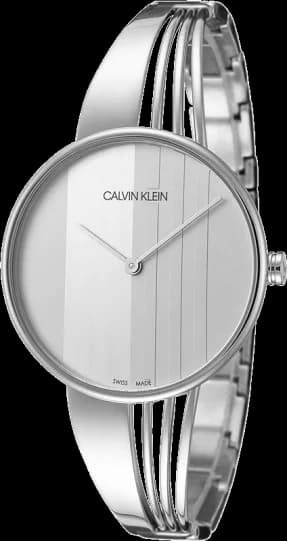 Montre Calvin Klein K6S2N116 en Acier Inoxydable Argenté