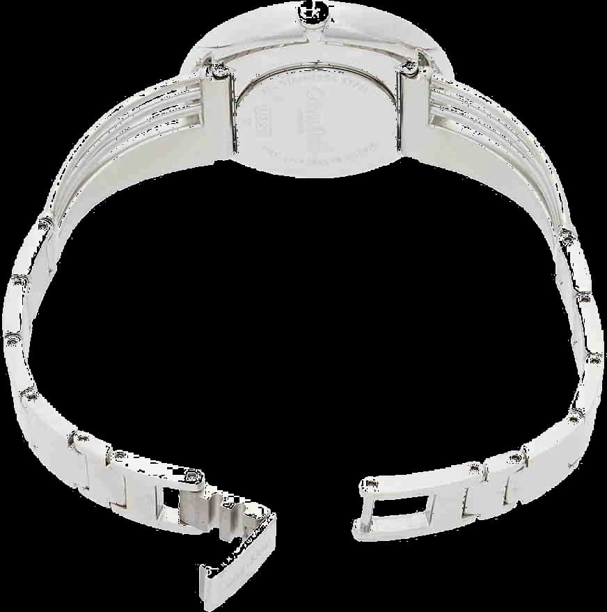 Montre Calvin Klein K6S2N116 en Acier Inoxydable Argenté vue 4