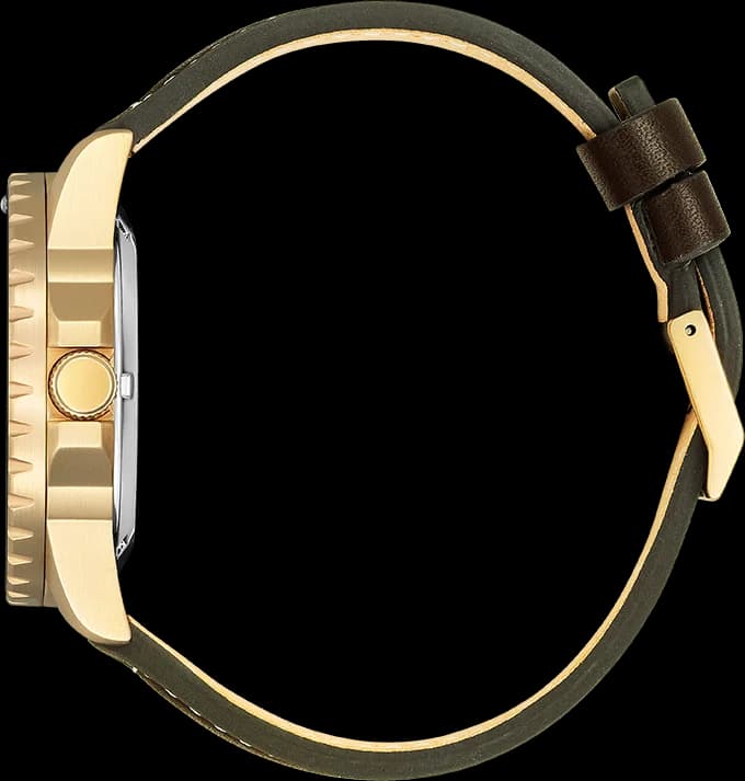 Montre Citizen NJ0173-18X Automatique Cadran Vert et Cuir Marron vue 3