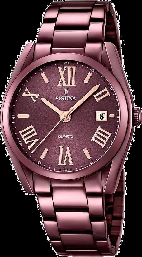 Montre Femme Festina F16865/1 Marron en Acier