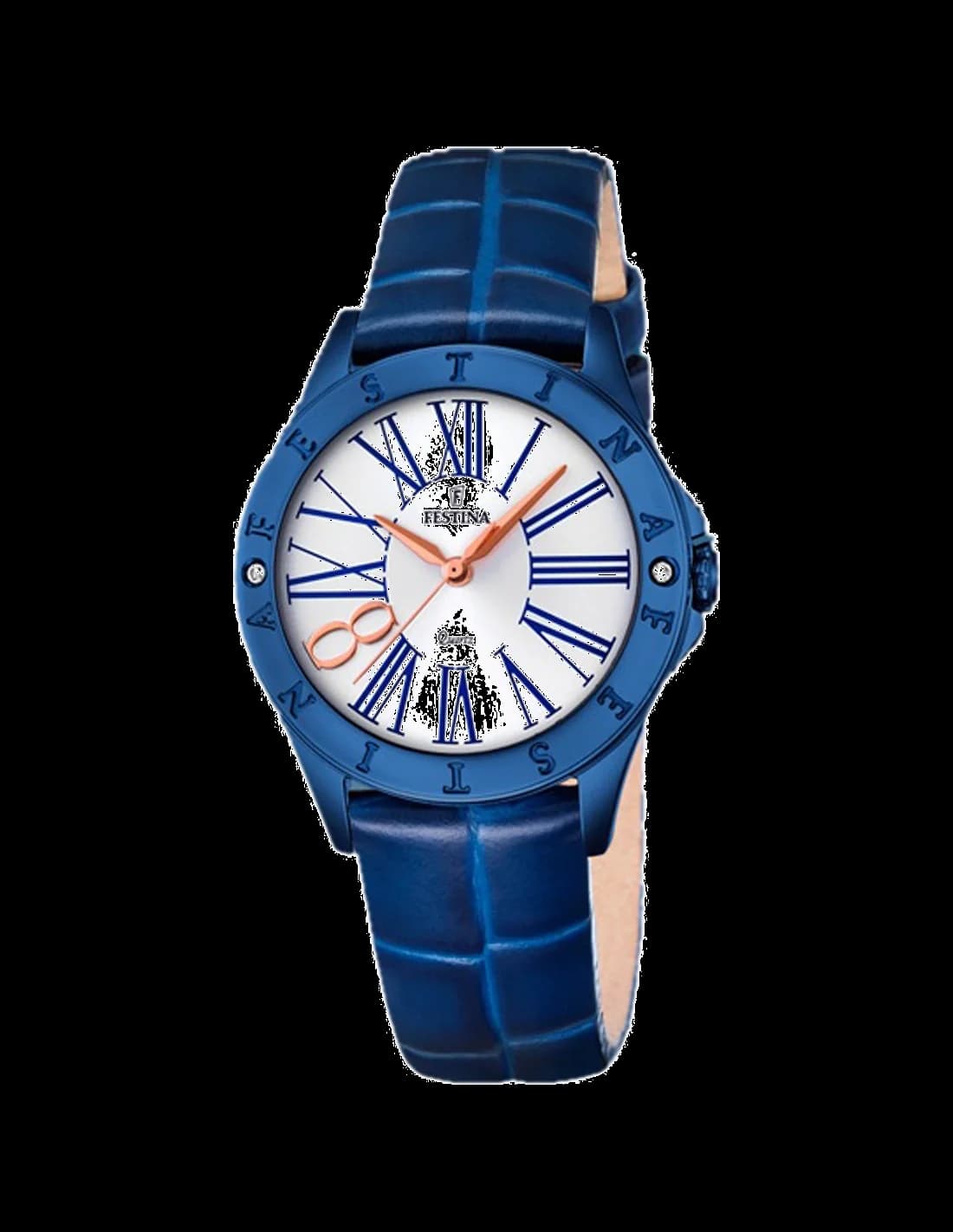 Montre Femme Festina Boyfriend F16931/1 Bleu en Acier Inoxydable