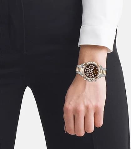 Montre Hugo Boss 1502617 Cadran Marron Soleillé et Acier Bicolore vue 4