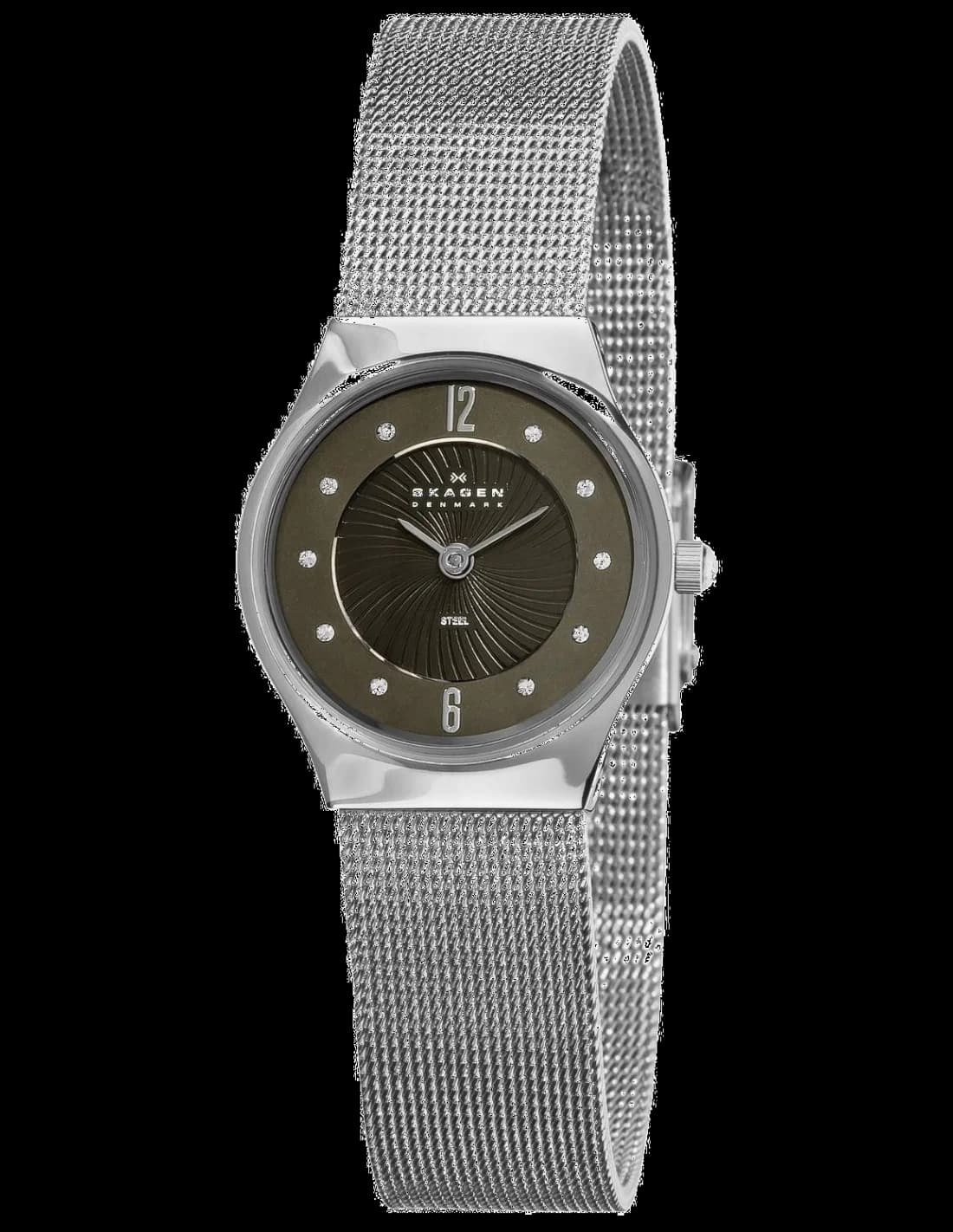Montre Femme Skagen 233XSSSB1