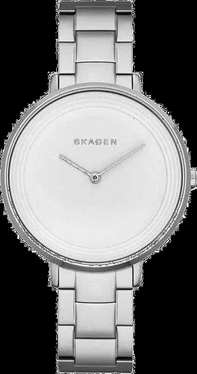 Montre Femme Skagen SKW2329 Argentée en Acier