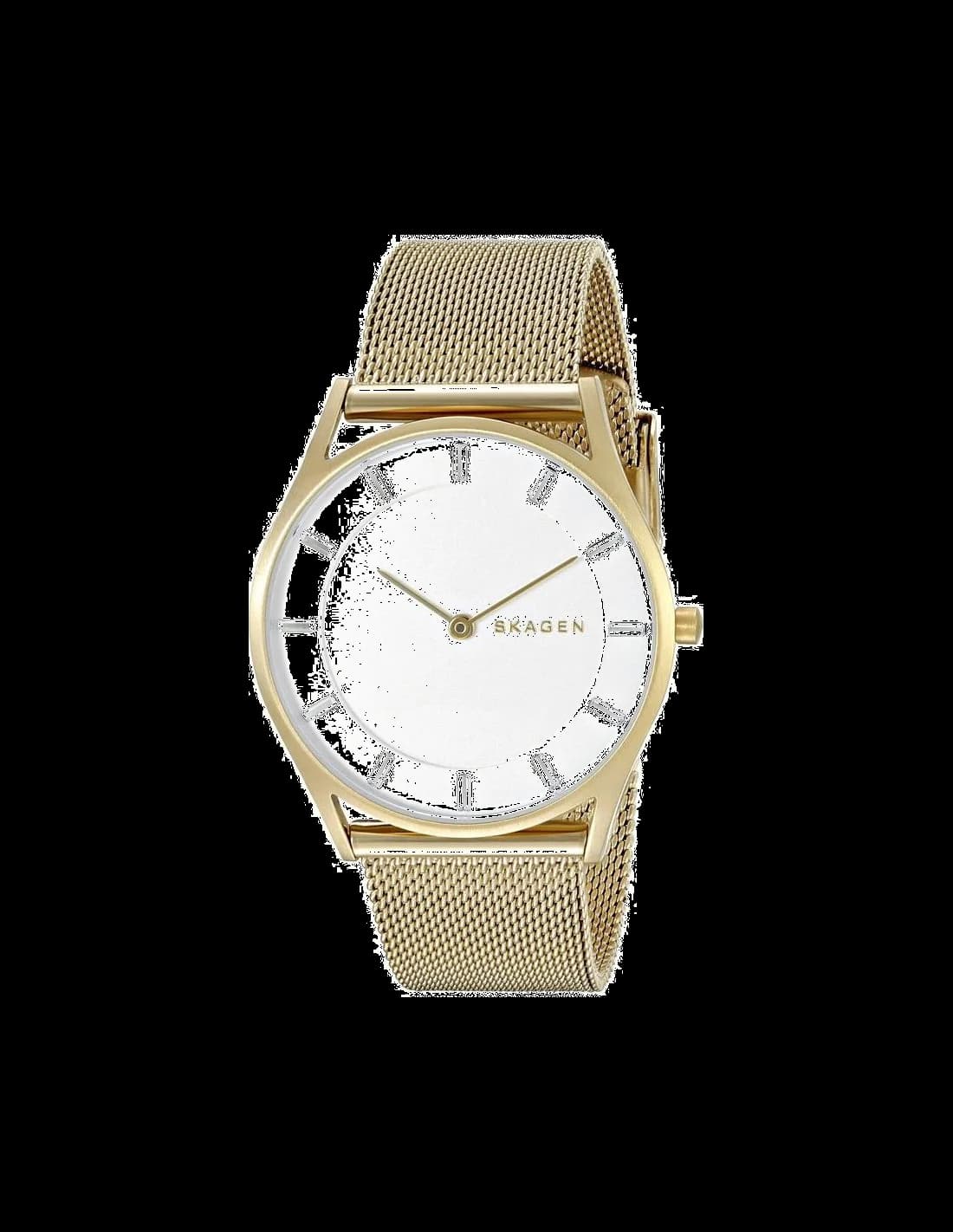 Montre Femme Skagen SKW2377 Bracelet en Maille Milanaise Grise