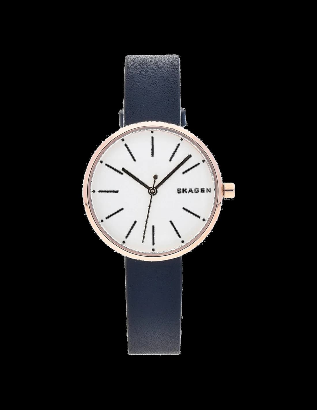 Montre Femme Skagen Signatur SKW2592 Bleu
