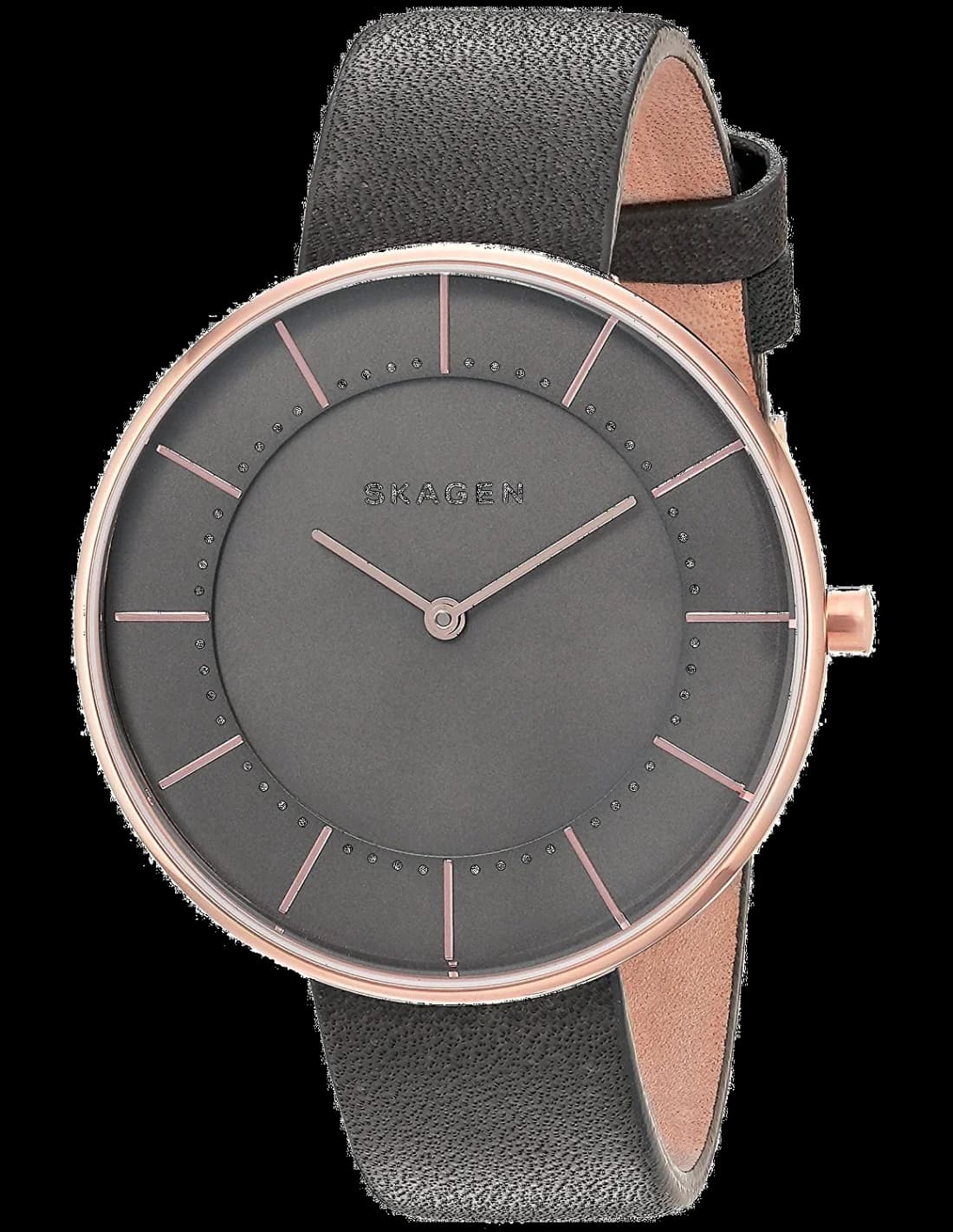 Montre Femme Skagen Gitte SKW2613 Gris