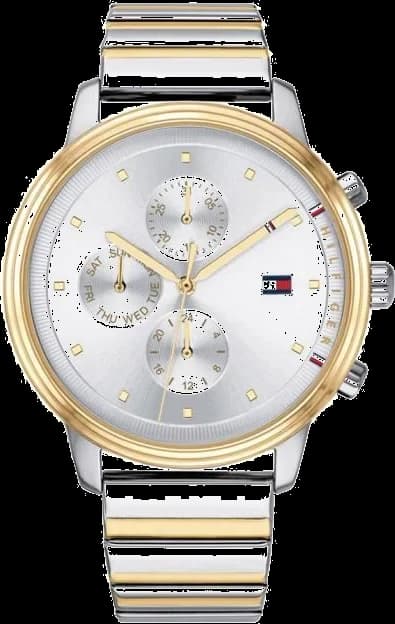 Montre Tommy Hilfiger 1781908 en Acier Bicolore Blake